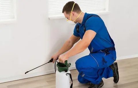 termite control services