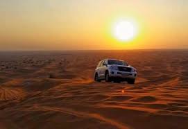 Morning Desert Safari: A Thrilling Adventure to Start Your Day