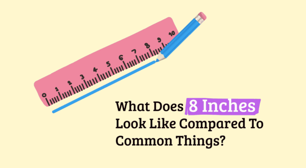 Understanding 8 Inches: Practical Examples and Comparisons