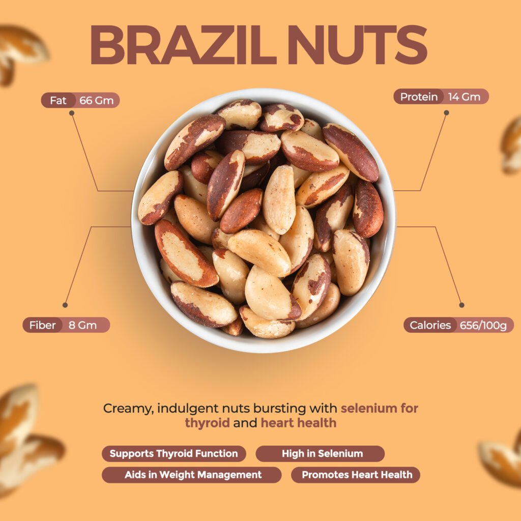 brazil-nuts-in-Pakistan