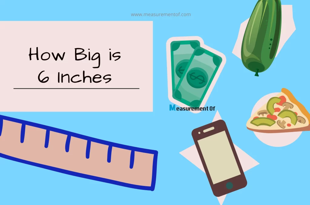 things that are 6 inches