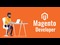 Magento Developers