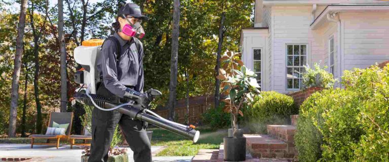 5 Easy Ways for Effective Mosquito Control in Philadelphia