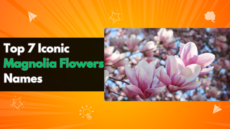 Top 7 Iconic Magnolia Flowers Names