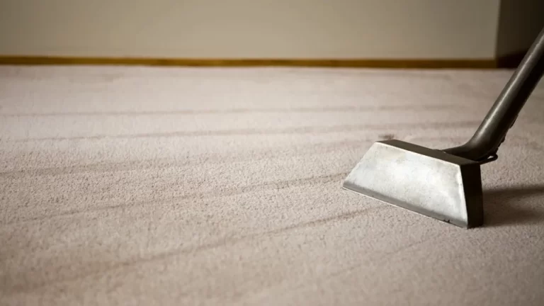 How Carpet Cleaning Contributes to a Healthier Home Environment