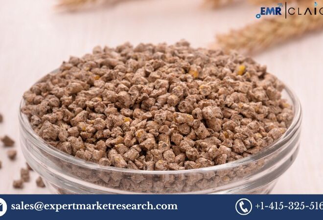 Compound Feed Market : Trends,Growth (2025-2034)