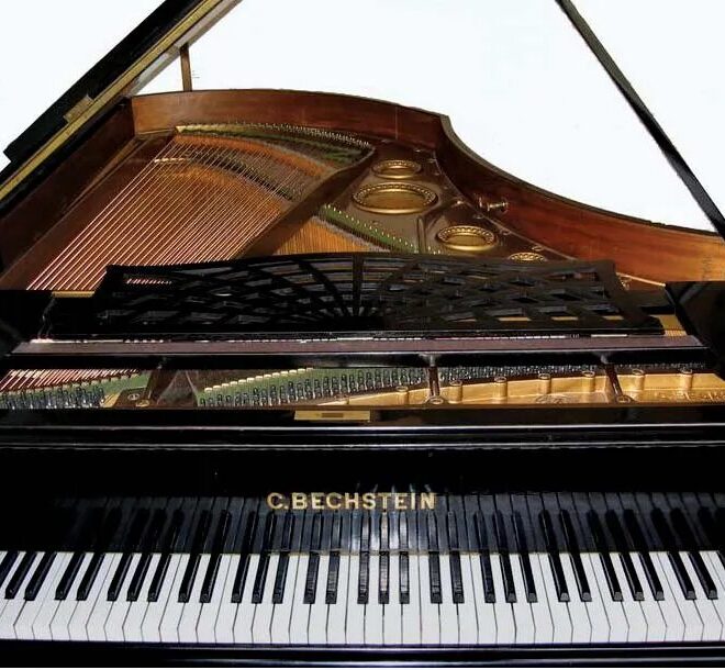 Whose Piano Needs Expert Care? Discover the World of TX Pianos