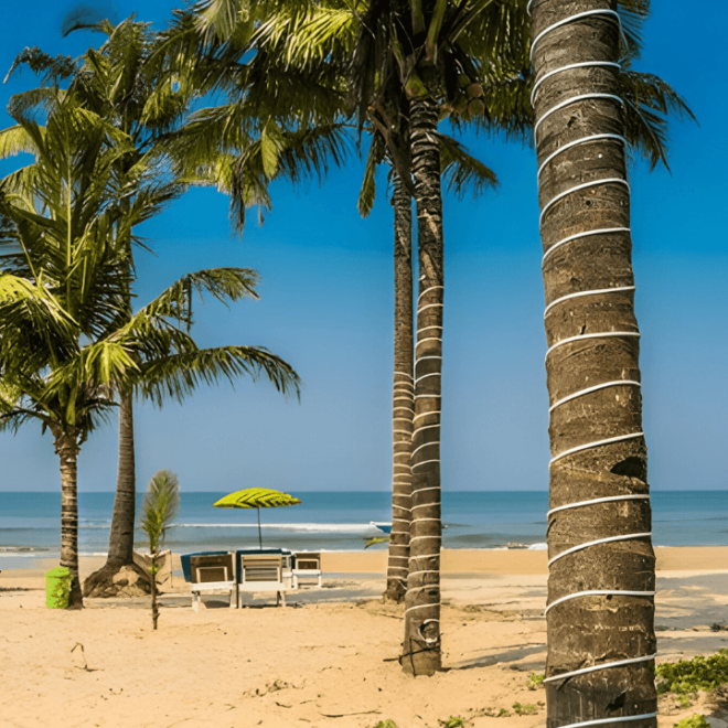 How Goa tour can be the best for holidays