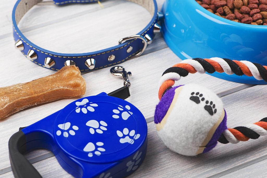 Choosing Perfect Designer Accessories for Your Stylish Pet