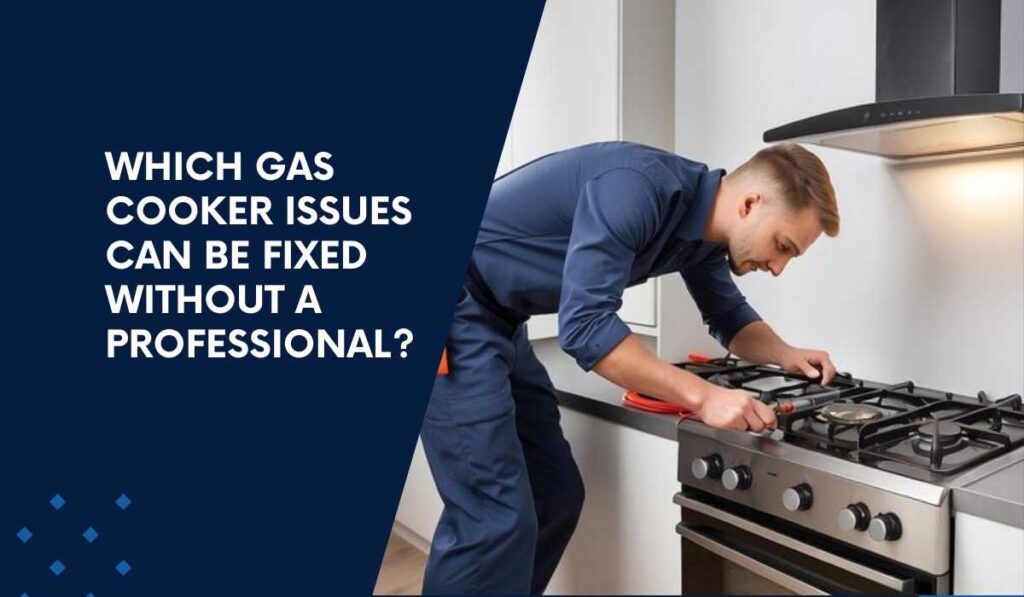 Gas cooker Repair