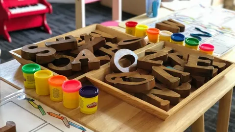 montessori item