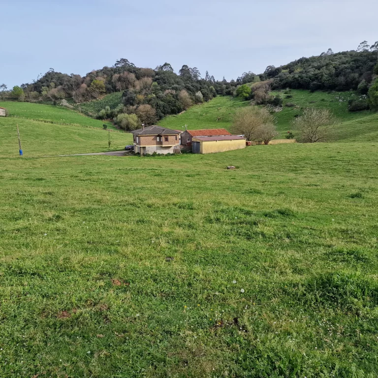 Cómo aprovechar las oportunidades: alquilar terrenos con Fincalista