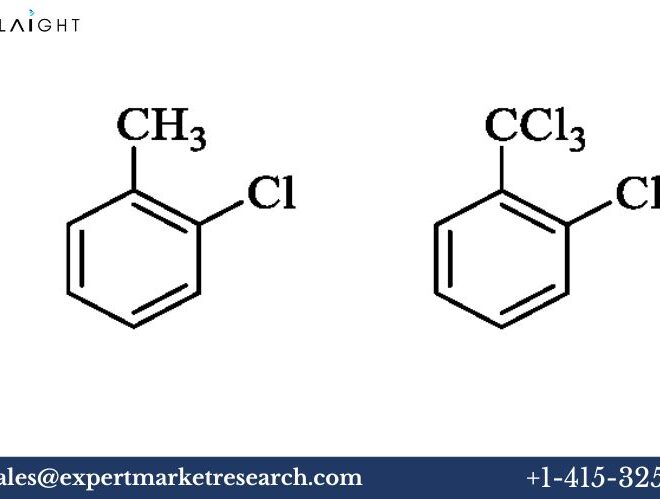 Benzisothiazolinone Manufacturing Plant Project Report 2025