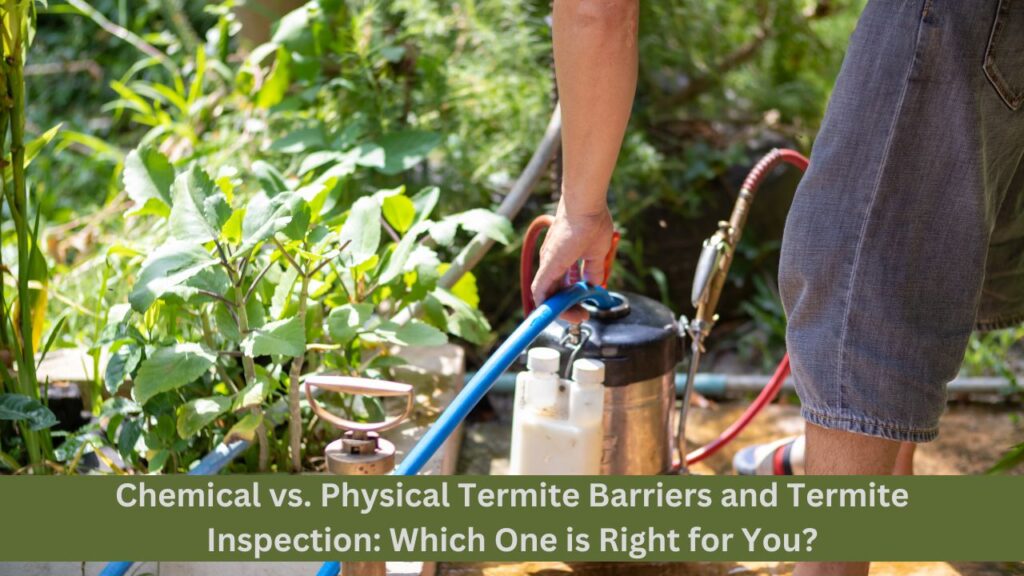 Chemical vs. Physical Termite Barriers and Termite Inspection: Which One is Right for You?