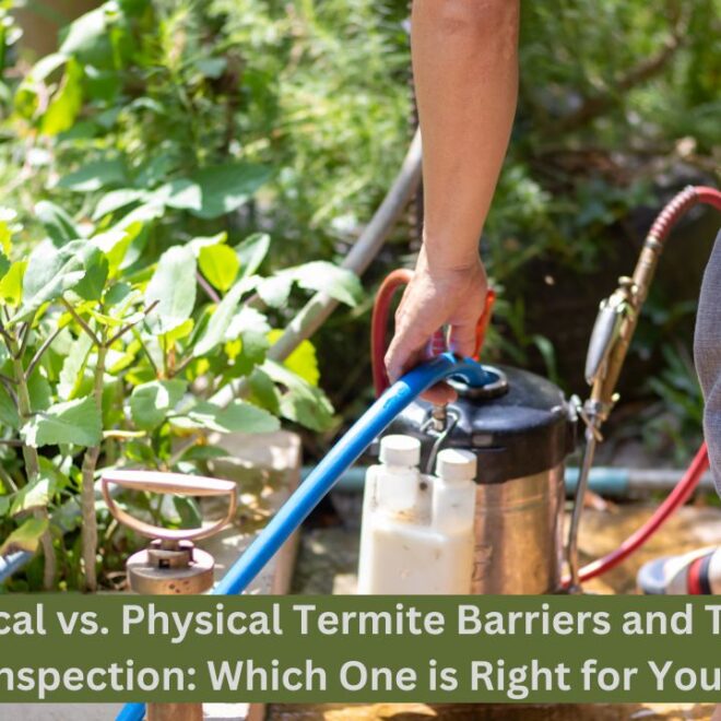 Chemical vs. Physical Termite Barriers: Choosing the Right Protection for You