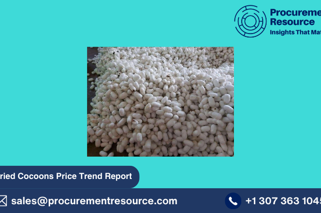 Dried Cocoons Price Trend: Comprehensive Market Analysis and Insights