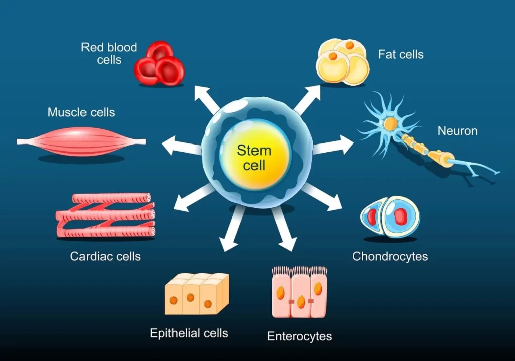 tem Cells for Joint Pain and Chronic Disease