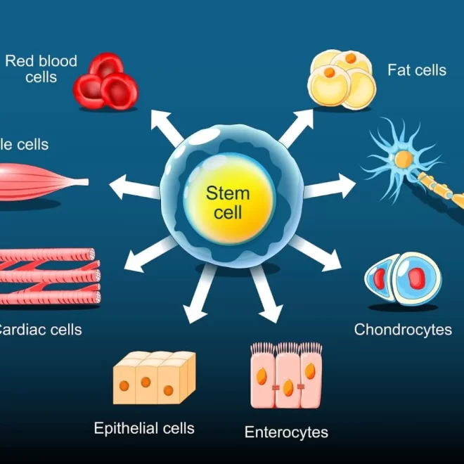 Discover stem cell therapy in Singapore is transforming healthcare