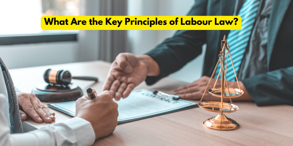 labour law