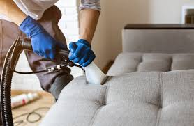 Fighting Winter Stains: Upholstery Cleaning Solutions for Brooklyn Homes