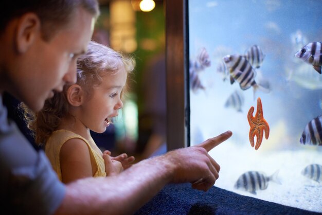 Creative Ways to Teach Children About Marine Life and Ocean Conservation