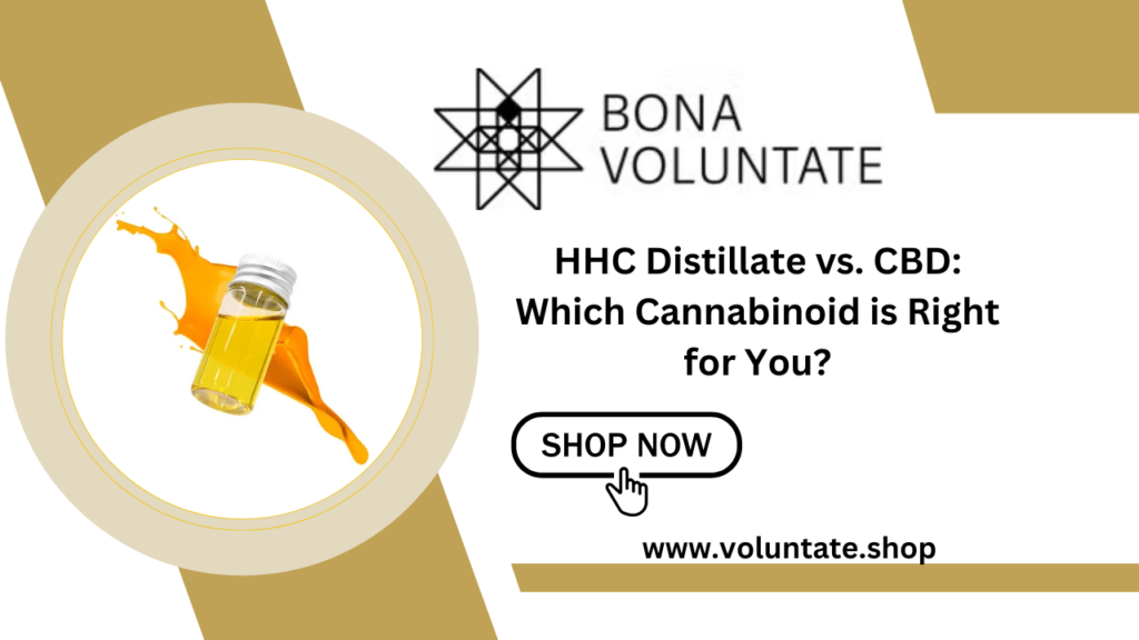 HHC Distillate vs. CBD: Which Cannabinoid is Right for You?