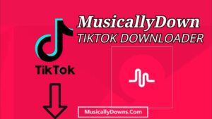 MusicallyDown – Download Video Tiktok Without Watermark