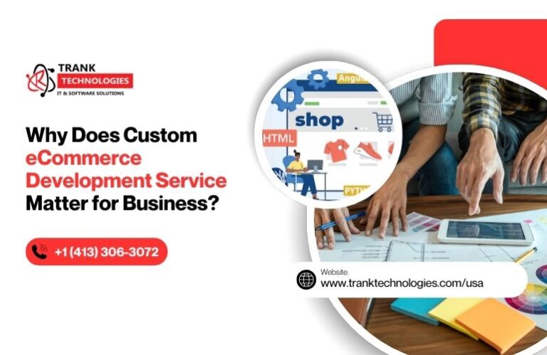 Why Does Custom eCommerce Development Service Matter for Business?