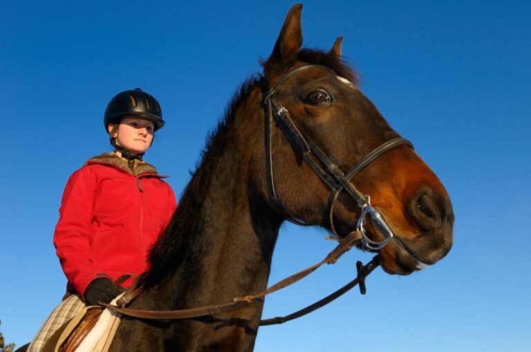 Why Every Equestrian Needs a Quality Horse Riding Jacket