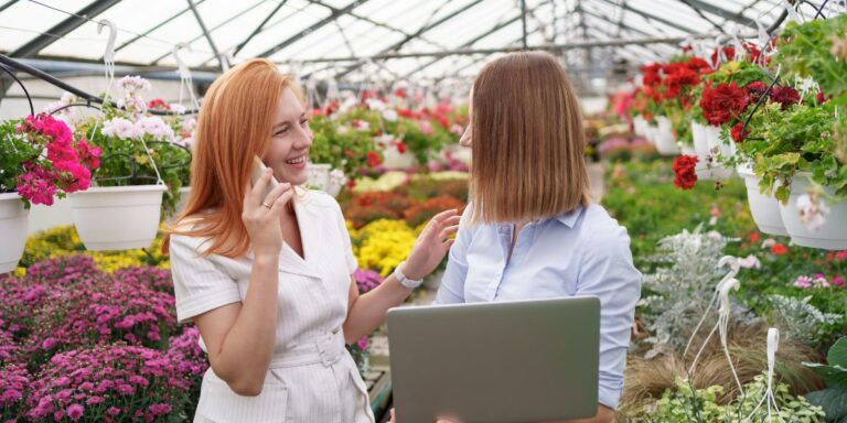 What Services Do Plant Nursery Contractors Typically Offer in Riyadh?