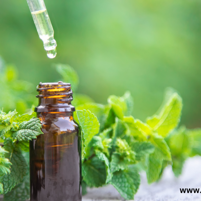 Overview of the Essential Oil Industry in the USA