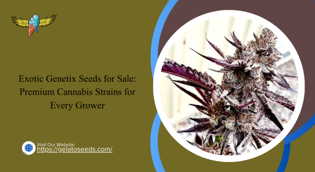 exotic genetix seeds for sale