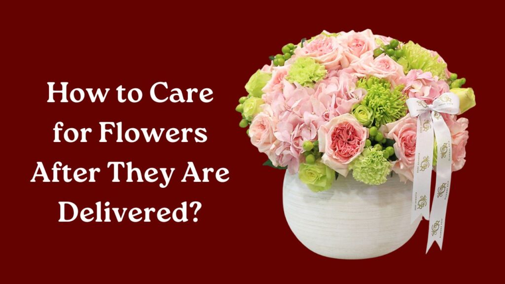 Flower Caring Tips