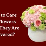 How to Care for Flowers After They Are Delivered?