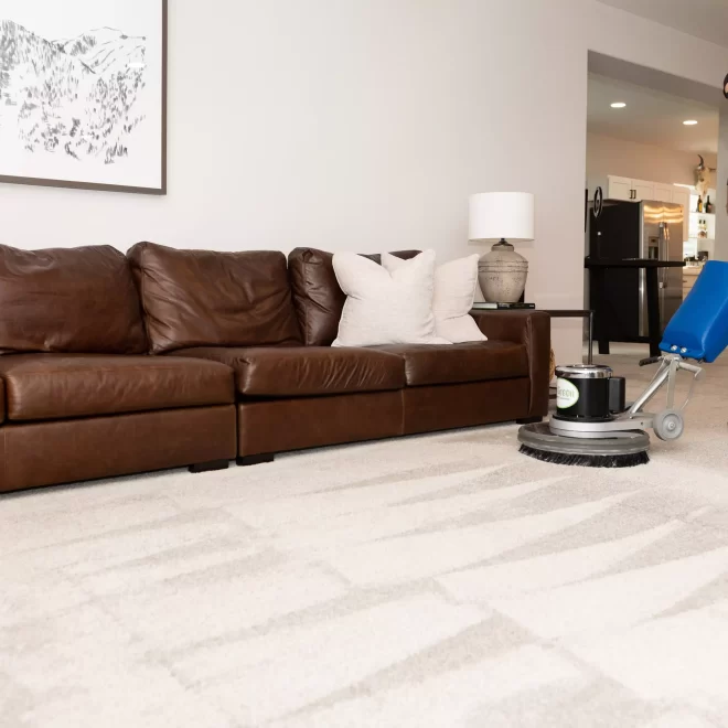 Top Fort Collins Carpet Cleaning | Stain & Odor Removal