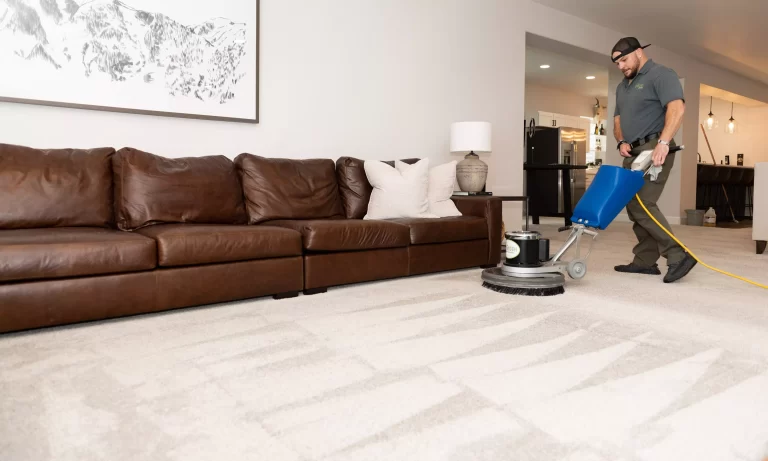 Top Fort Collins Carpet Cleaning | Stain & Odor Removal