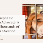 How Joseph Dee McLean Advocacy is Giving Thousands of Animals a Second Chance