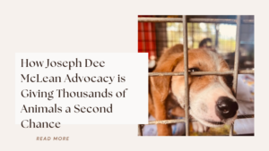 How Joseph Dee McLean Advocacy is Giving Thousands of Animals a Second Chance