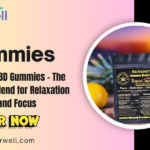 Kanna CBD Gummies – The Perfect Blend for Relaxation and Focus