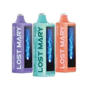 What Makes Lost Mary Vape a Popular Choice?