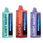 Why Is Lost Mary Vape So Popular Among Vapers?