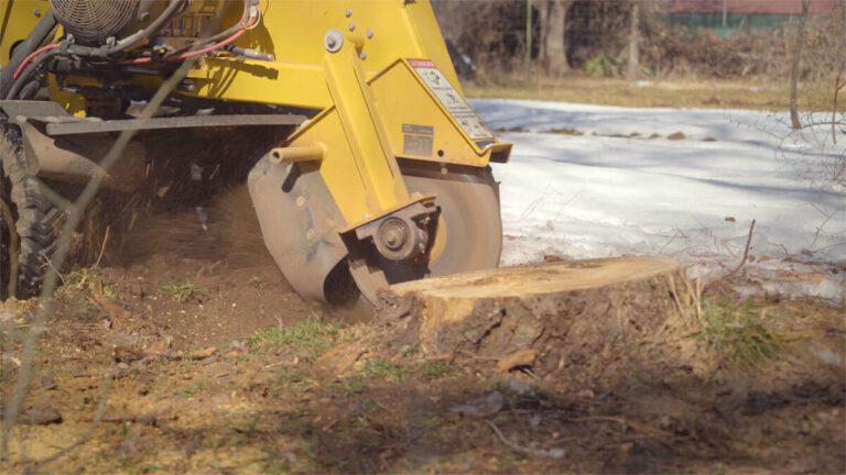Stump Grinding Services to Remove Stubborn Tree Stumps