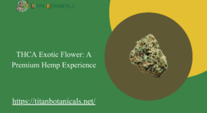 THCA Exotic Flower: A Premium Hemp Experience