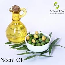 neem oil suppliers