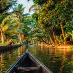 Why Should a Kerala Backwaters Journey Be on Your Travel Bucket List?