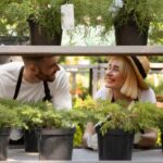 Why Choose a Riyadh Plant Nursery Contractor Over DIY Gardening?