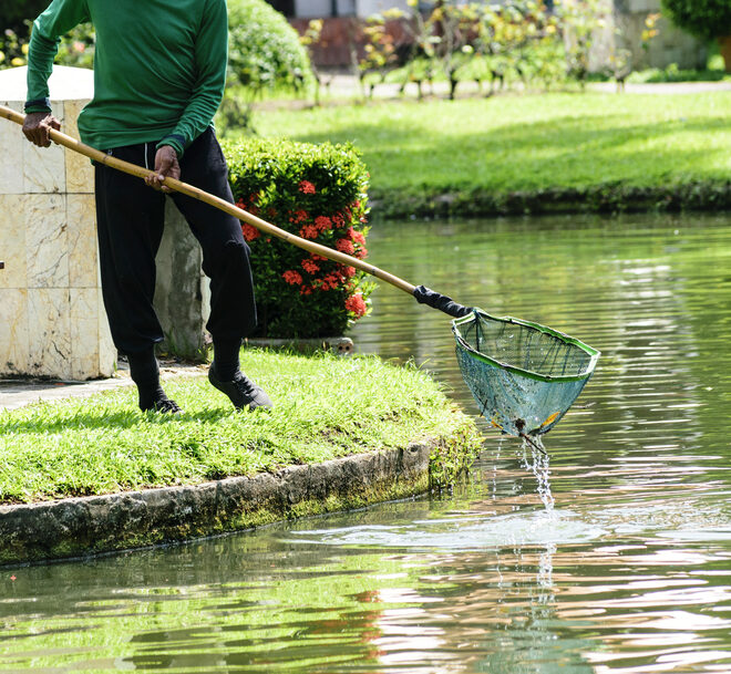 What Is the Best Way to Maintain a Pond in Delaware?
