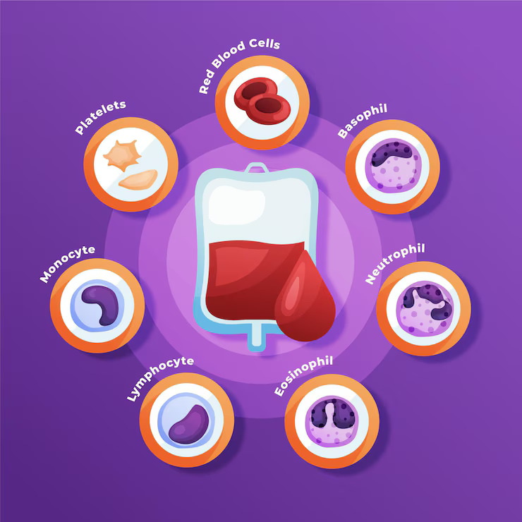 types of blood cancer