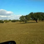 Descubre la Magia de Vivir en una Finca Rústica: Naturaleza, Tranquilidad y Libertad