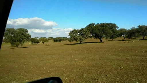 Descubre la Magia de Vivir en una Finca Rústica: Naturaleza, Tranquilidad y Libertad